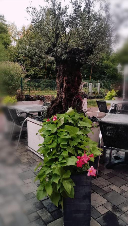 Au Hameau de l'Ecluse proche Europa-Park Bed & Breakfast Marckolsheim Exterior foto